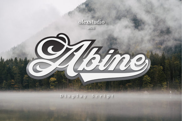 Abine: A Bold Display Font for Campaign Headlines