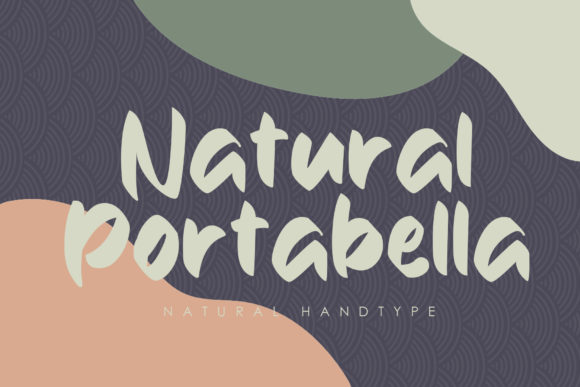 Natural Portabella: A Friendly Display Font for Web Design