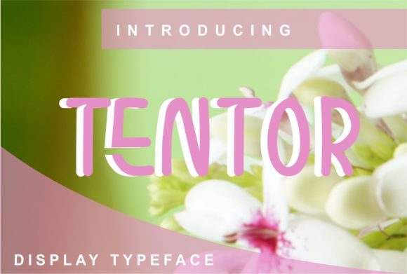 Tentor: The Trendy Display Font for Crafters